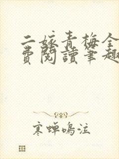 二嫁青梅全文免费阅读笔趣阁封面