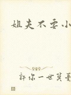 姐夫不要小说封面