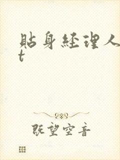 贴身经理人txt