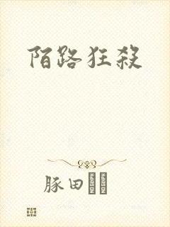 陌路狂杀封面