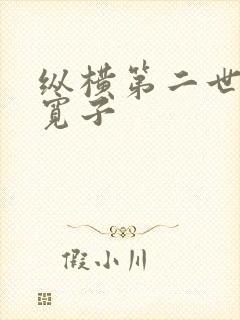 纵横第二世界 宽子封面
