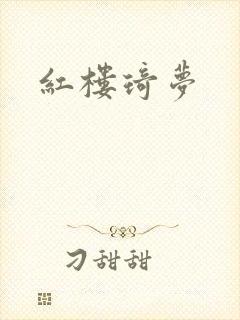 红楼琦梦封面