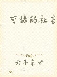 可怜的社畜分手