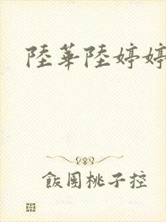 陆华陆婷婷封面
