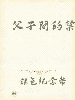 父子间的禁忌封面