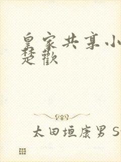 皇家共享小公主楚欢封面