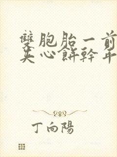 双胞胎一前一后夹心饼干年下封面