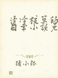 清冷校草的堕落日常小说免费阅读封面