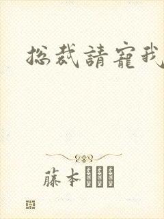 总裁请宠我