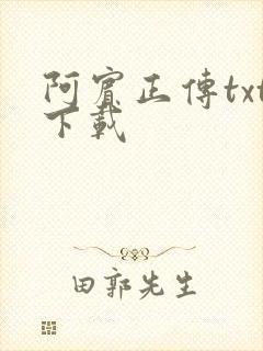 阿宾正传txt下载