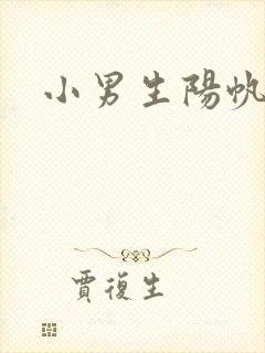 小男生阳帆