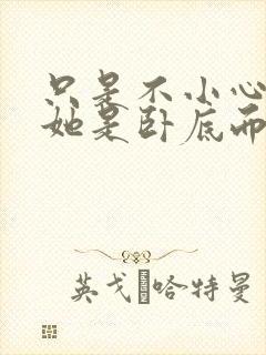 只是不小心发现她是卧底而已封面