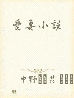 爱妻小说