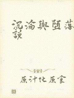 沉沦与堕落的小说