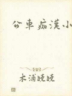 公车痴汉小说