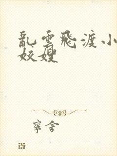 乱云飞渡小说之姣嫂封面