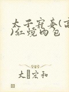 太子宠妾(高肉)红烧肉包