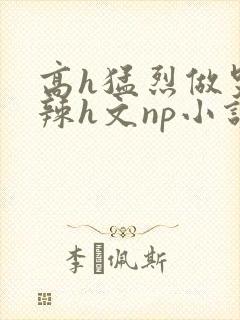 高h猛烈做哭高辣h文np小说