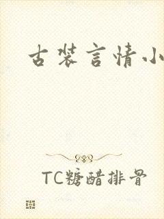 古装言情小说