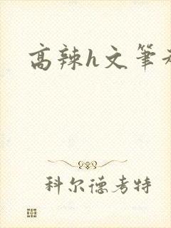 高辣h文笔趣阁