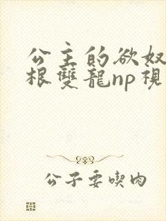 公主的欲奴h四根双龙np视频