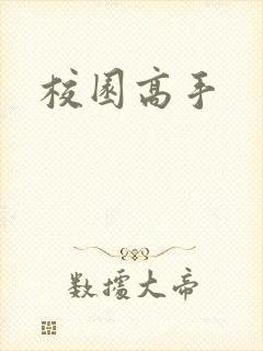 校园高手