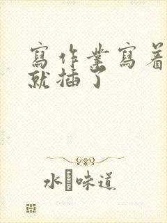 写作业写着写着就插了封面