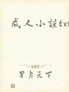 成人小说txt