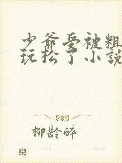 少爷受被粗汉H玩松了小说