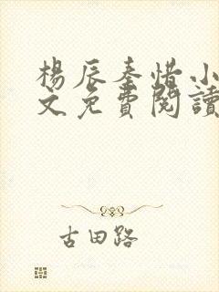 杨辰秦惜小说全文免费阅读完整版