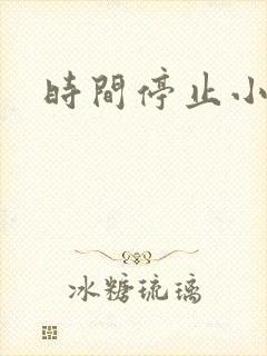 时间停止小说