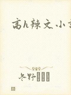 高h辣文小说