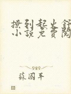 撩到起火舒漾的小说免费阅读全文
