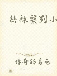 丝袜系列小说