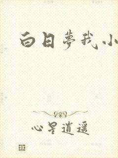白日梦我小说