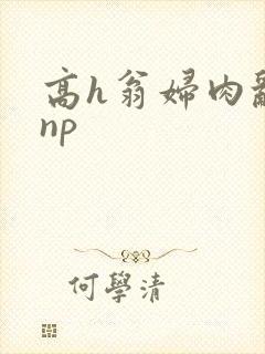 高h翁妇肉乱文np封面