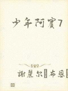 少年阿宾7封面