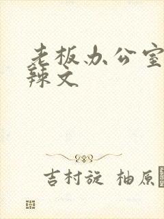 老板办公室系列辣文封面