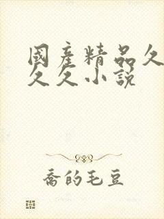 国产精品久久久久久小说