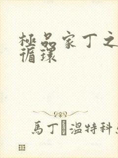 极品家丁之因果循环封面