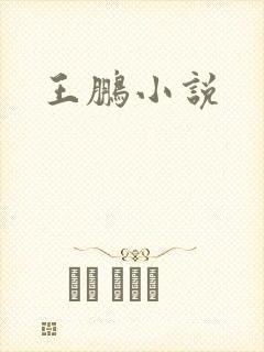 王鹏小说