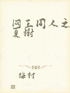 网王同人之桃生夏树