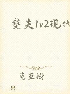 双夫1v2现代