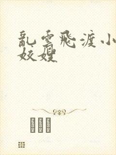 乱云飞渡小说之姣嫂