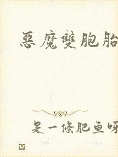 恶魔双胞胎封面