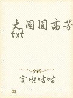 大团圆高芳小说txt封面