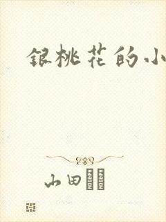银桃花的小说