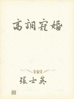 高调宠婚封面