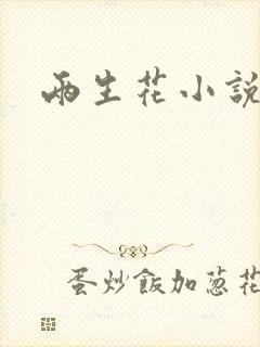 两生花小说