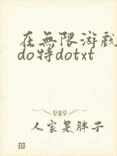 在无限游戏大里do特dotxt封面
